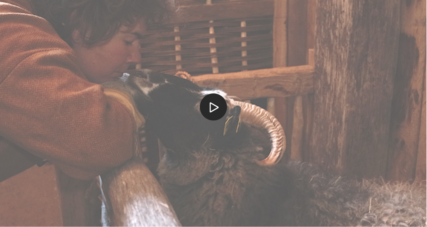 Video fra Overbygård