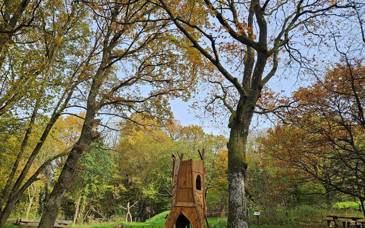 Stort legetårn i skov